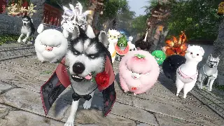 在《烈焰》游戏中分享我的玩家心得：从新手到高手之路 海报